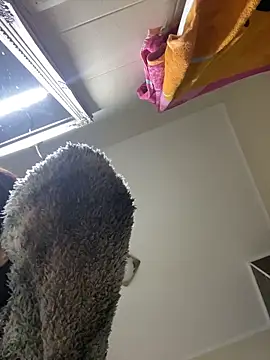 Lexi Storm online show from December 3, 2025, 5:48 am