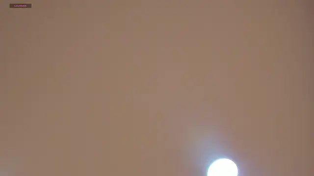 CharlotteBrownn  online show from June 6, 2026, 11:31 pm