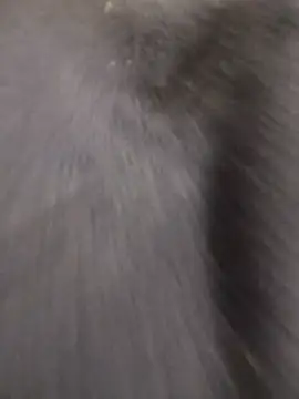 Snapshot of Funny_Karina chatting on December 15, 2025, 6:34 pm Funny Karina online show from December 15, 2025, 6:34 pm