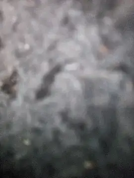 Romance32 online show from November 3, 2025, 7:31 am