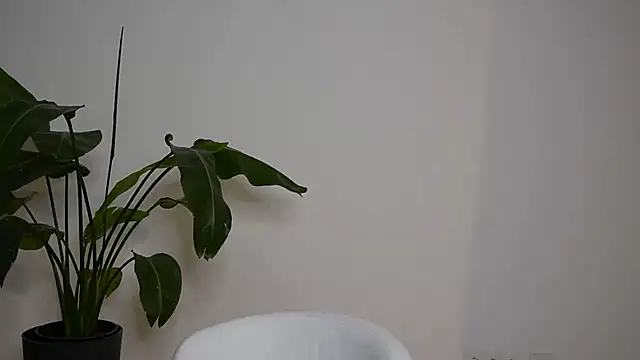 MayTease online show from September 11, 2025, 7:03 pm