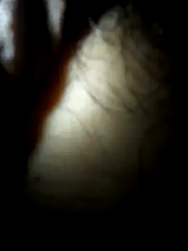 luislimafuego online show from October 4, 2025, 10:24 am