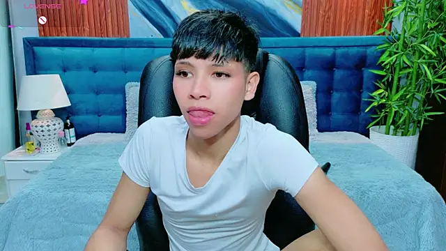 dilan 911 online show from March 29, 2026, 6:41 pm