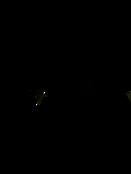 XanderOzzz online show from November 3, 2025, 8:37 am