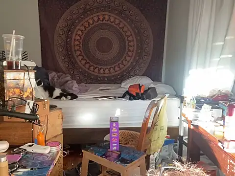 XanderOzzz online show from November 6, 2025, 9:48 pm