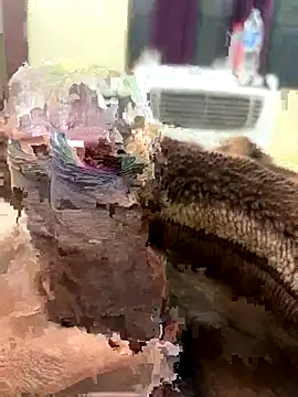 Snapshot of its_Surya_BBC chatting on November 27, 2025, 12:40 pm its Surya BBC online show from November 27, 2025, 12:40 pm