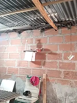 hoteder online show from April 19, 2026, 12:04 pm