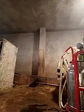 ezgi2545 online show from February 22, 2026, 3:10 pm