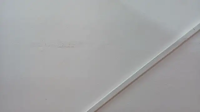 Snapshot of Lizbeth_Rouse chatting on October 26, 2025, 12:55 pm Lizbeth Rouse online show from October 26, 2025, 12:55 pm