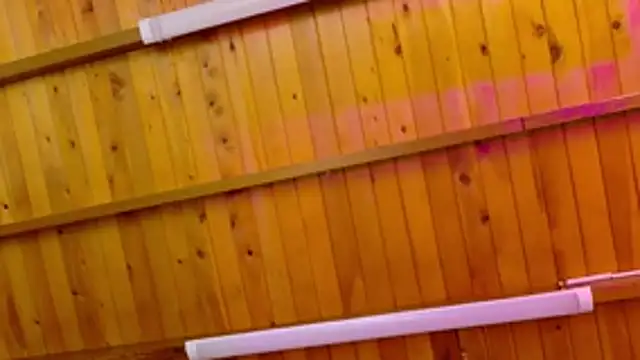 Lizbeth Rouse online show from January 12, 2026, 10:20 am