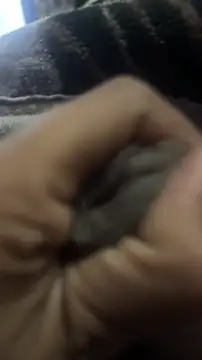 longfuckk online show from December 20, 2025, 7:32 pm