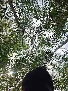 96Rohon online show from March 21, 2026, 6:18 am