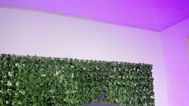 Snapshot of BellaRoux1 chatting on February 27, 2026, 12:16 pm BellaRoux1 online show from February 27, 2026, 12:16 pm