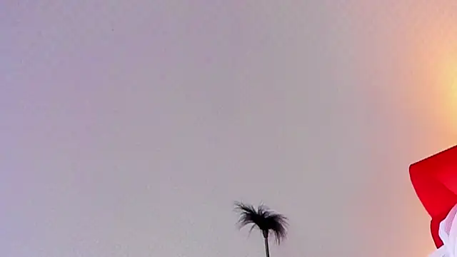 Lillie Berry online show from October 25, 2025, 4:42 am