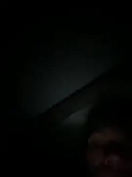 P E R V I T I N online show from February 12, 2026, 5:46 am