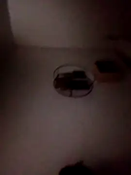 P E R V I T I N online show from April 6, 2026, 1:58 am