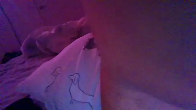 Snapshot of Shy_straightguy chatting on November 24, 2025, 5:01 pm Shy straightguy online show from November 24, 2025, 5:01 pm