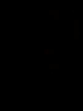 sou elmaia online show from October 3, 2025, 11:40 am