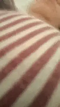 bibi perigoBr online show from September 29, 2025, 3:39 pm