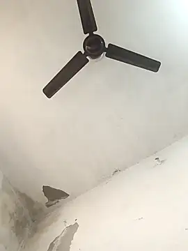 NoxiousFilename online show from November 21, 2025, 7:29 am