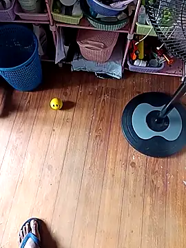 WholeAltimeter25 online show from November 27, 2025, 6:15 am