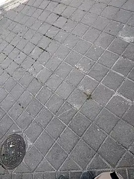 xxxfeo online show from April 9, 2026, 11:59 am