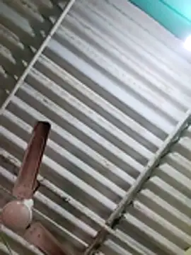 Desi masti69 online show from December 3, 2025, 5:22 pm