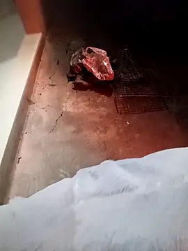 Snapshot of fanchunn chatting on February 9, 2026, 9:57 am fanchunn online show from February 9, 2026, 9:57 am