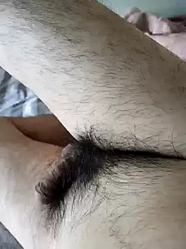 Hl1979 online show from May 16, 2026, 8:11 am