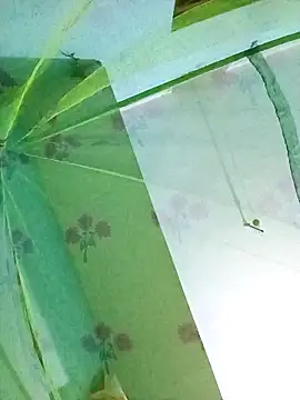 Snapshot of Apkisona8 chatting on November 18, 2025, 5:06 pm Apkisona8 online show from November 18, 2025, 5:06 pm