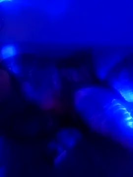 senacansu online show from October 26, 2025, 2:50 am