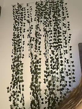 Snapshot of butterfly777_ chatting on January 11, 2026, 8:41 am butterfly777 online show from January 11, 2026, 8:41 am