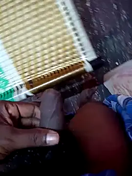 dolphiinn online show from November 24, 2025, 1:11 pm