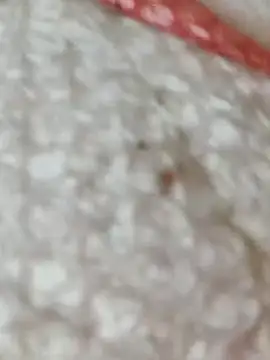 Markroco696 online show from November 15, 2025, 5:38 am