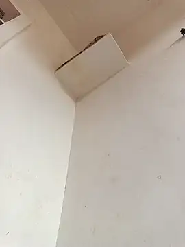 Dikchahot online show from November 11, 2025, 10:26 am