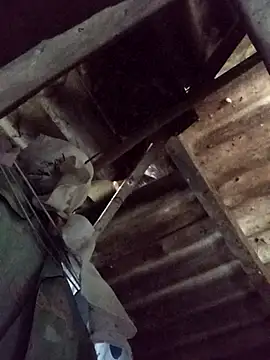 Snapshot of _Helala_ chatting on October 21, 2025, 11:49 pm Helala online show from October 21, 2025, 11:49 pm