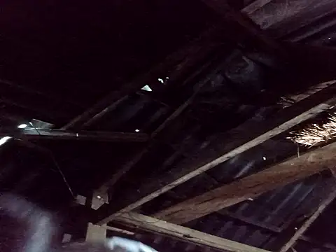 Snapshot of _Helala_ chatting on October 25, 2025, 11:21 pm Helala online show from October 25, 2025, 11:21 pm