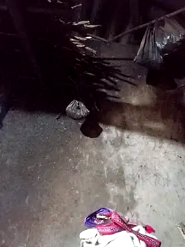 Snapshot of _Helala_ chatting on November 21, 2025, 12:32 am Helala online show from November 21, 2025, 12:32 am