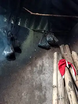 Snapshot of _Helala_ chatting on February 26, 2026, 8:35 am Helala online show from February 26, 2026, 8:35 am