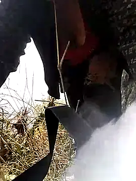 venu00 online show from March 25, 2026, 5:24 am