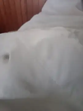 Angelmilf69 online show from December 17, 2025, 4:02 pm