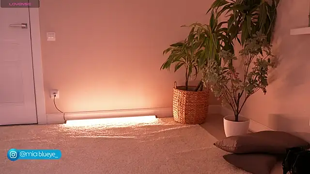 Snapshot of Miablueye chatting on November 20, 2025, 3:12 pm Miablueye online show from November 20, 2025, 3:12 pm