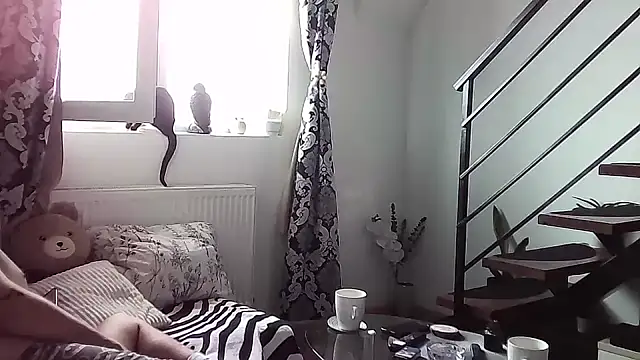 Snapshot of RyanStorm_ chatting on September 10, 2025, 9:42 am RyanStorm online show from September 10, 2025, 9:42 am