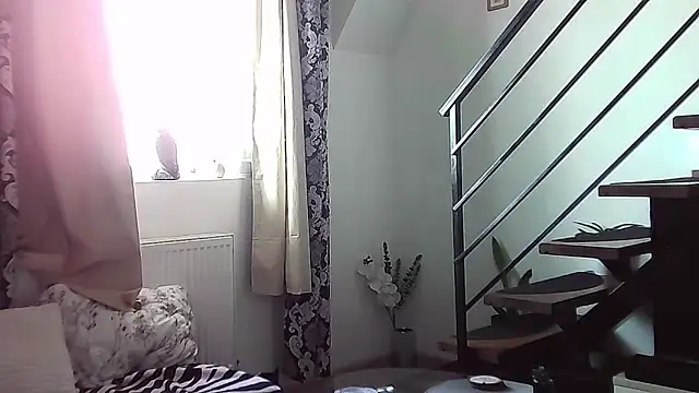 Snapshot of RyanStorm_ chatting on September 12, 2025, 10:37 am RyanStorm online show from September 12, 2025, 10:37 am