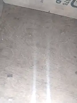 avi007p online show from February 28, 2026, 1:01 pm