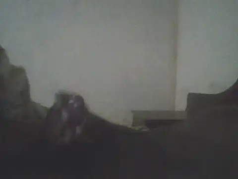 repulsivecock online show from November 25, 2025, 11:16 pm