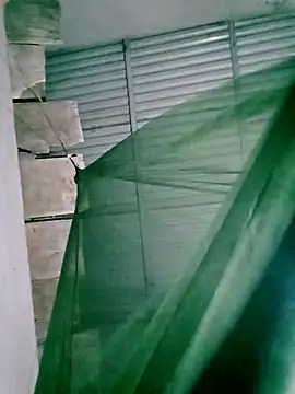 Lisa pusy online show from November 14, 2025, 12:48 pm