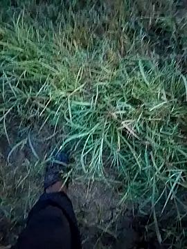 Sonia66w online show from September 14, 2025, 12:21 am