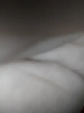 Morboseando online show from October 14, 2025, 1:50 am