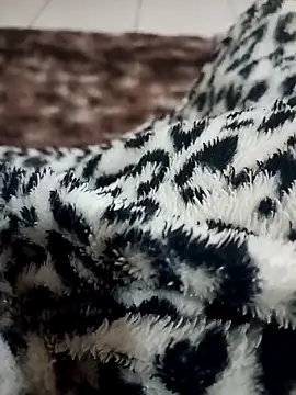 Snapshot of Gauderio40 chatting on November 21, 2025, 4:11 am Gauderio40 online show from November 21, 2025, 4:11 am